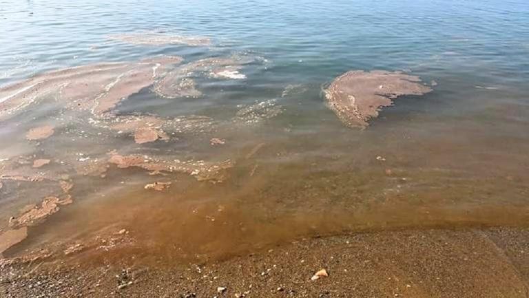 Φυτοπλαγκτόν και όχι θαλάσσια ρύπανση