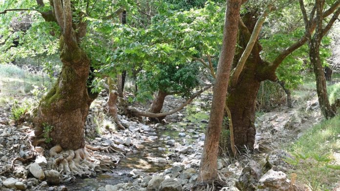 Χανιά: Κλείνει λόγω εργασιών το φαράγγι της Αγίας Ειρήνης