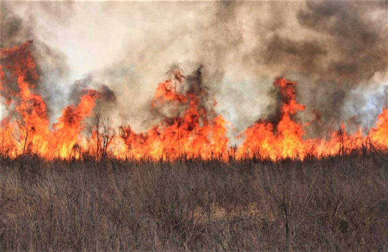 Ηλεία: Έτοιμοι για την αντιπυρική περίοδο