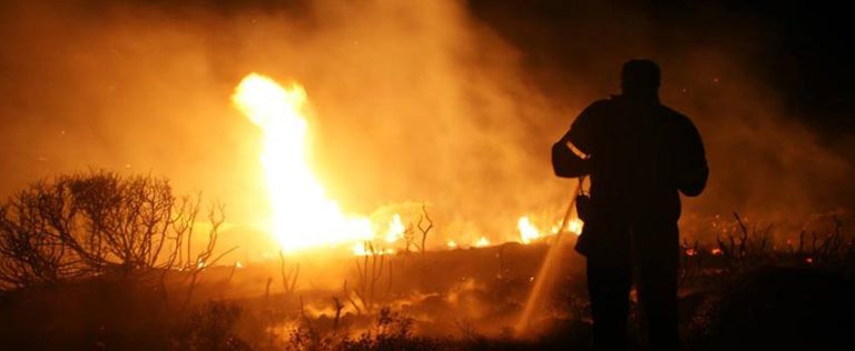 Ζάκυνθος: Διαδικτυακή εκδήλωση WWF-“Πλατύφορου” για δασικές πυρκαγιές