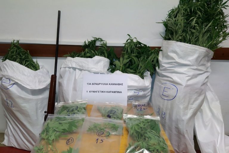 Εξιχνίαση υπόθεσης καλλιέργειας ινδικής κάνναβης