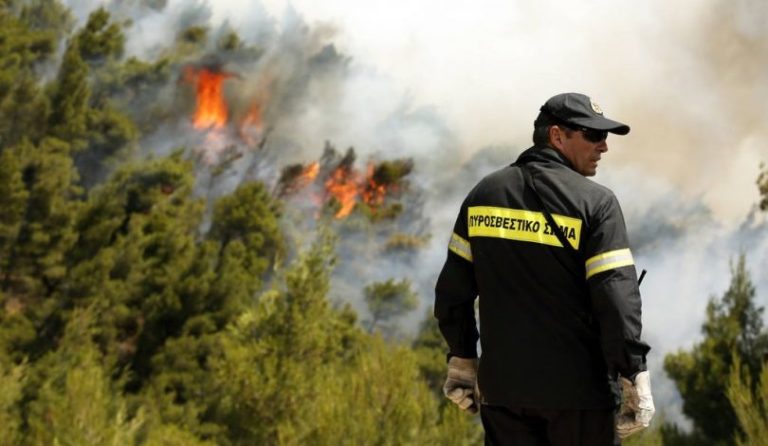 Υπό μερικό έλεγχο η πυρκαγιά σε δασική έκταση στα Μέθανα