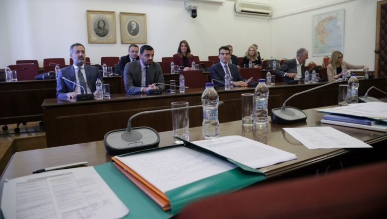 Προανακριτική: Αιχμές για Ε. Ράϊκου και Γ. Αγγελή άφησε στην κατάθεσή της η Ξ. Δημητρίου