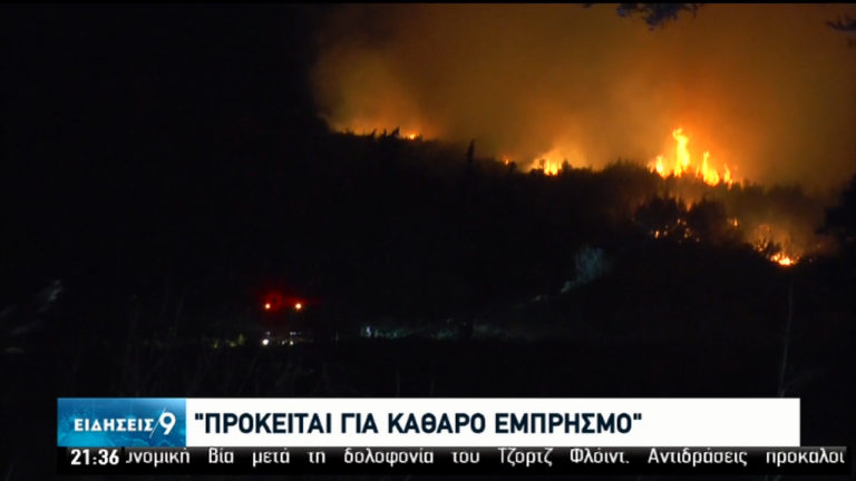 400 στρέμματα κάηκαν στη Ζάκυνθο (video)