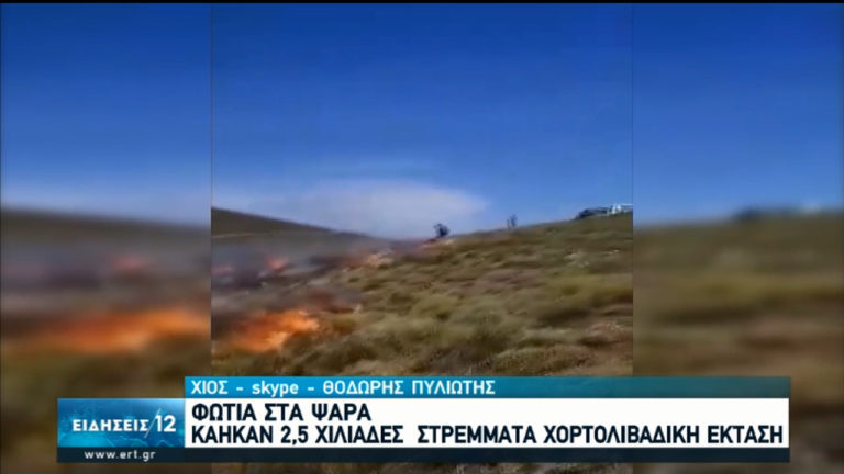 Υπό πλήρη έλεγχο η μεγάλή φωτιά στα Ψαρά-Κάηκαν 2.500 στρέμματα-Ζημιές στη μελισσοκομία (video)
