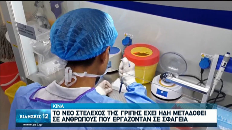 Κίνα: Νέο στέλεχος γρίπης σε χοίρους ανησυχεί τους ειδικούς (video – audio)