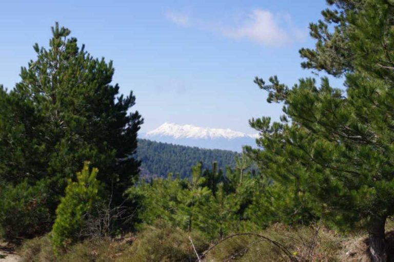 Περιήγηση  Σ.Α.Ο.Ο. στα μονοπάτια της Τρίπολης