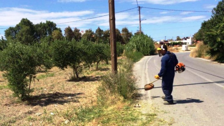 Καθαρισμοί και αποψιλώσεις στο Μαλεβίζι