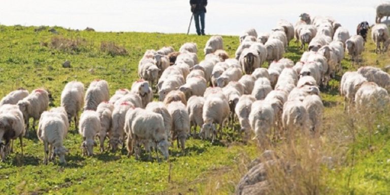 Εκπαιδευτικά σεμινάρια για κτηνοτρόφους από Περιφέρεια Ηπείρου