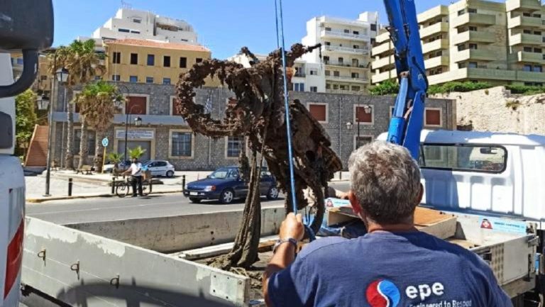 Καθάρισαν το Ενετικό Λιμάνι