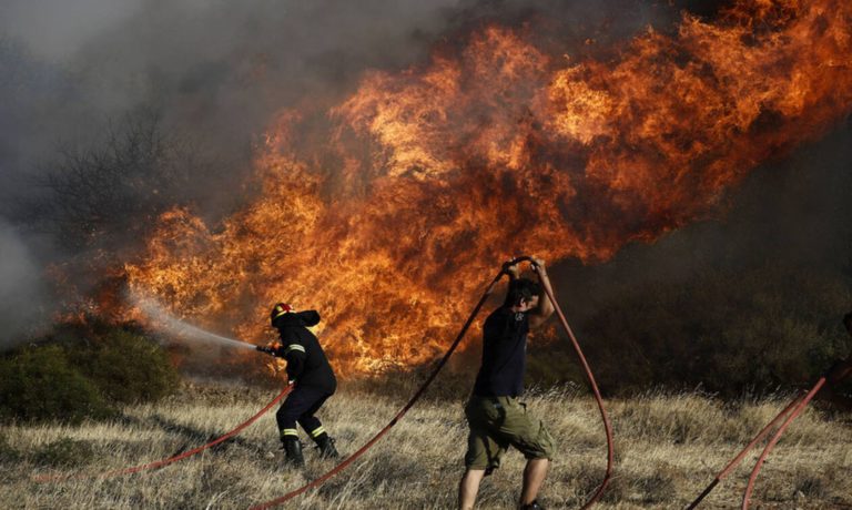 Σε κατάσταση έκτακτης ανάγκης οι πυρόπληκτες περιοχές της Δ.Ε. Λασιώνος