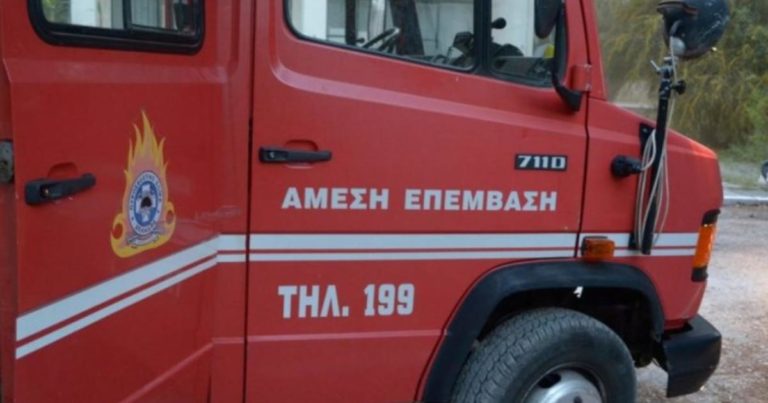 Στις φλόγες τροχόσπιτο στην παραλία του Καρτερού