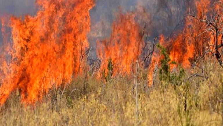 Φωτιά στην περιοχή Βασιλικός Κορινθίας