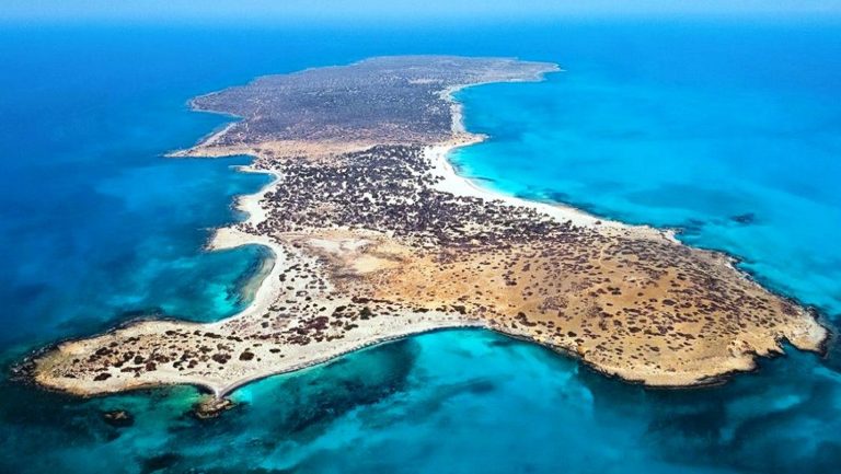 Λασίθι: Εκτάσεις σε αναδασωτέα περιοχή δήλωναν ως βοσκοτόπια για να πάρουν τις επιδοτήσεις του ΟΠΕΚΕΠΕ