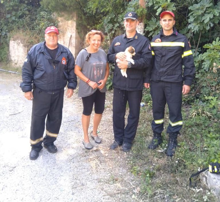 Κέρκυρα: Διάσωση σκύλου στον Αγ. Μάρκο
