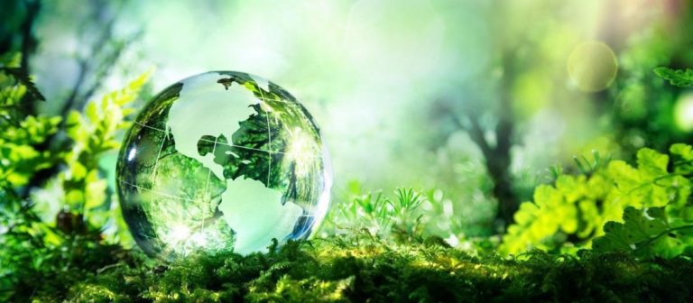HELLENiQ ENERGY: Εκπαιδευτικές δράσεις για μαθητές και δημιουργία πάρκων με αφορμή την Παγκόσμια Ημέρα Περιβάλλοντος