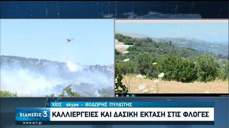 Χίος: Υπό μερικό έλεγχο η πυρκαγιά στους Βαβύλους-Μεγάλη κινητοποίηση της Πυροσβεστικής