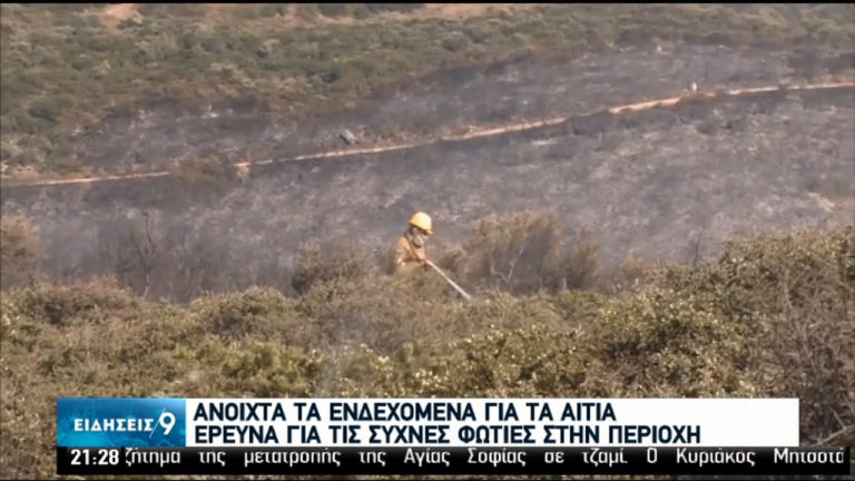 Πυρκαγιά στην Κάρυστο – Εκκενώθηκε προληπτικά οικισμός (video)