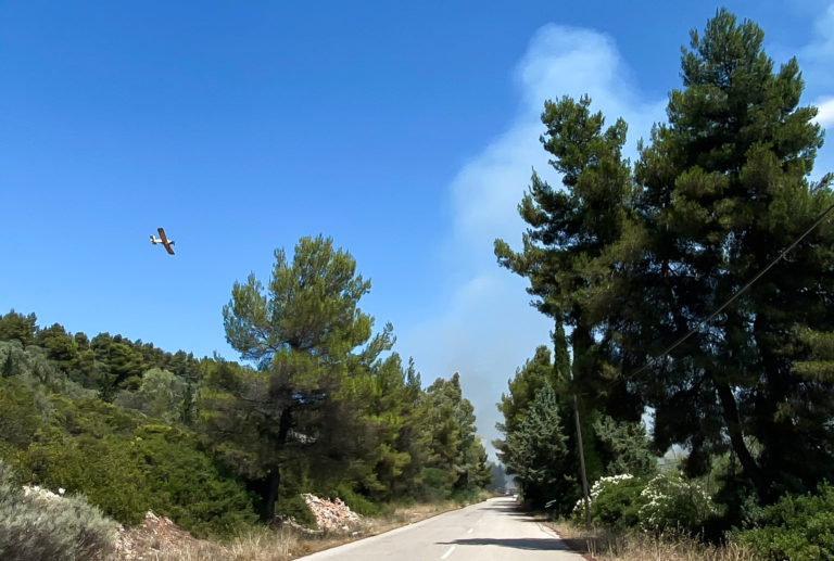 Μεγάλη πυρκαγιά στο Θεολόγο Φθιώτιδας