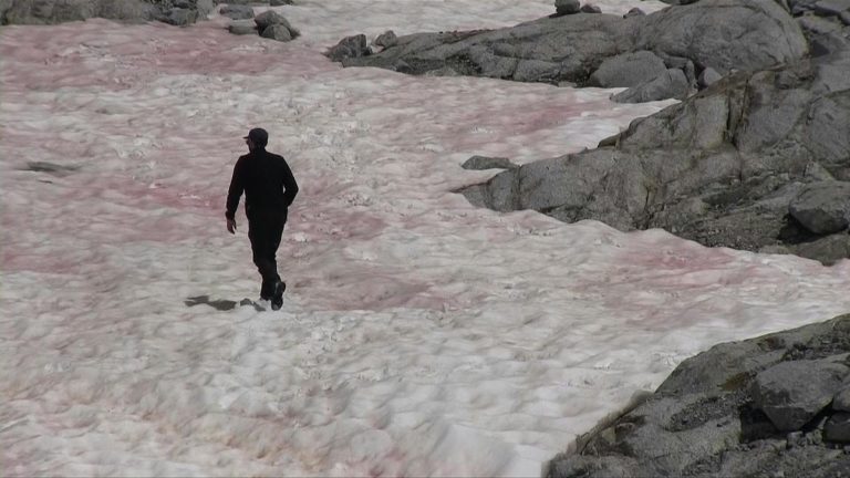 Ροζ πάγος στις ιταλικές Άλπεις – Ανησυχούν οι επιστήμονες