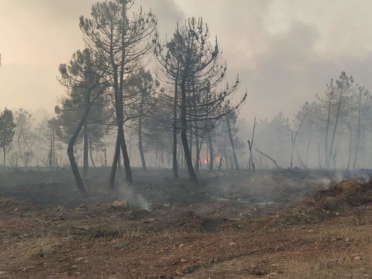 Παρέμβαση Ε. Στυλιανίδη στον Υπουργό Εσωτερικών για την πυρκαγιά στις Σάπες