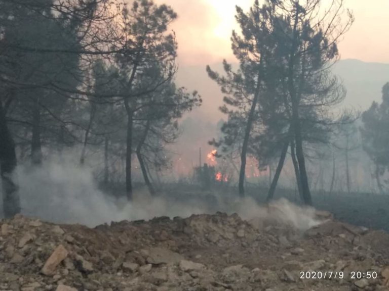 Σάπες: Αναγκαία η οριοθέτηση των εκτάσεων που κάηκαν, η κήρυξή  τους ως αναδασωτέων και η απαγόρευση της βοσκής