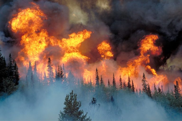 ΕΡΤ2 – DOC ON ΕΡΤ «Μέγα-Πυρκαγιές: Ερευνώντας μια παγκόσμια απειλή»