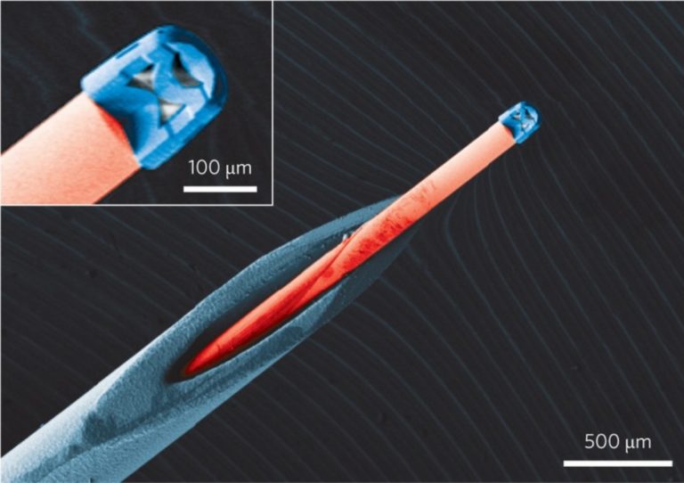 Επιστήμονες ανέπτυξαν το μικρότερο ενδοσκόπιο στον κόσμο που “βλέπει” μέσα στα αιμοφόρα αγγεία