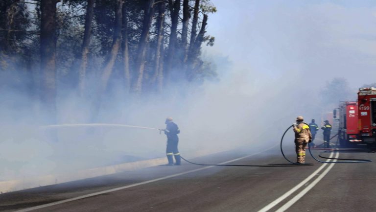 Υψηλός ο κίνδυνος πυρκαγιάς αύριο στην Κρήτη