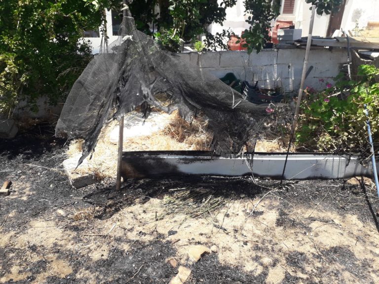 Υπεύθυνη η ΔΕΗ για την καταστροφική πυρκαγιά στο Βαμβακόπουλο Χανίων