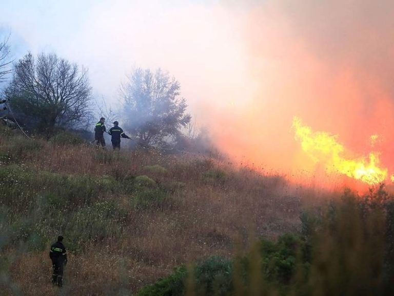 Μάχη με τις φλόγες στο Καλό Νερό στα όρια Λάρισας και Μαγνησίας