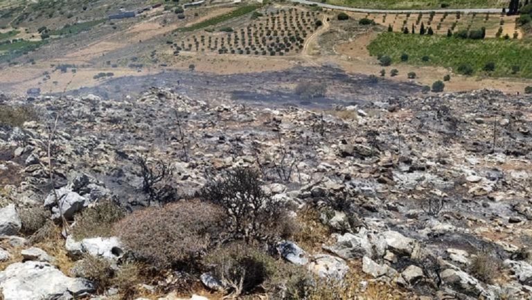 Έσβησαν γρήγορα την πυρκαγιά στη Σητεία