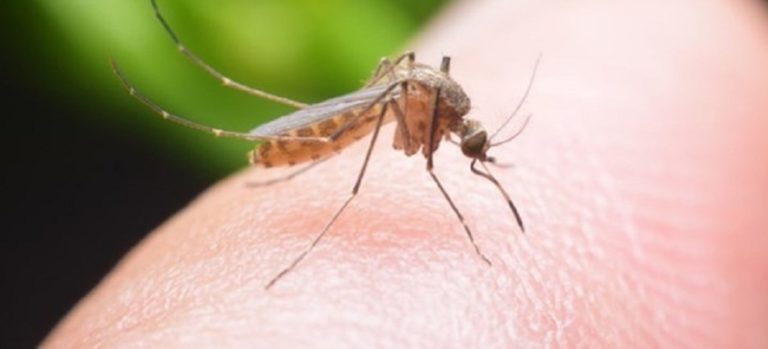 Αρνητικό το αποτέλεσμα για ελονοσία για τον 60χρονο από το Σιδηρόκαστρο