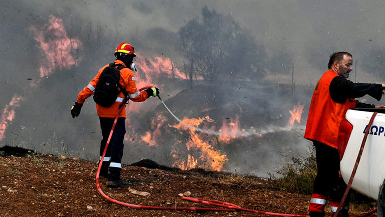 Ηλεία : Από νωρίς φέτος οι πυρκαγιές…