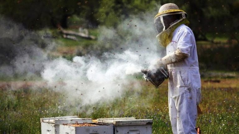 Πήγε να «καπνίσει» τις μέλισσες και έβαλε κατά λάθος φωτιά