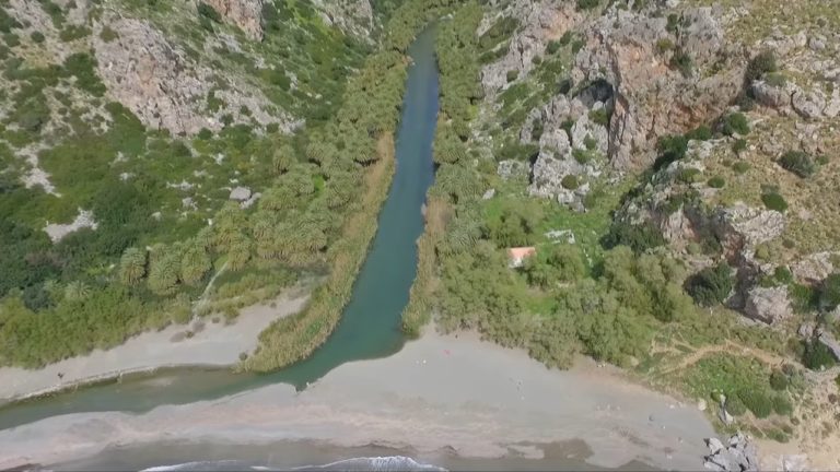 Κρήτη: Εθελοντικές δράσεις για τις δασικές πυρκαγιές