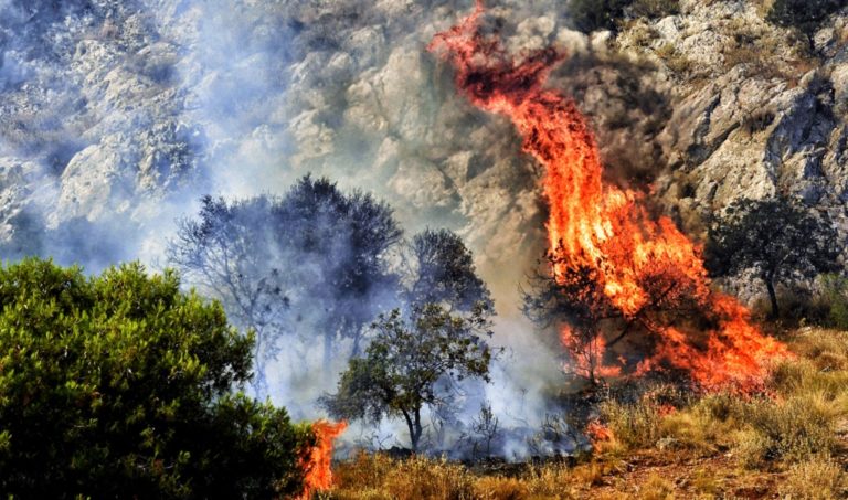 Πυρκαγιά στην περιοχή Χανδρινός Μεσσηνίας (video)