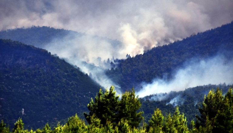 Υποχωρούν οι πυρκαγιές – Εμφανίζονται οι συνέπειές τους (video)