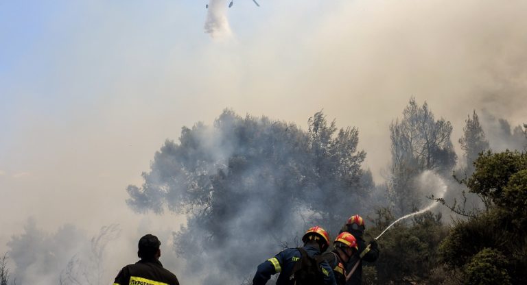 Σε ύφεση η πυρκαγιά σε δασική έκταση στην Περαχώρα Λουτρακίου