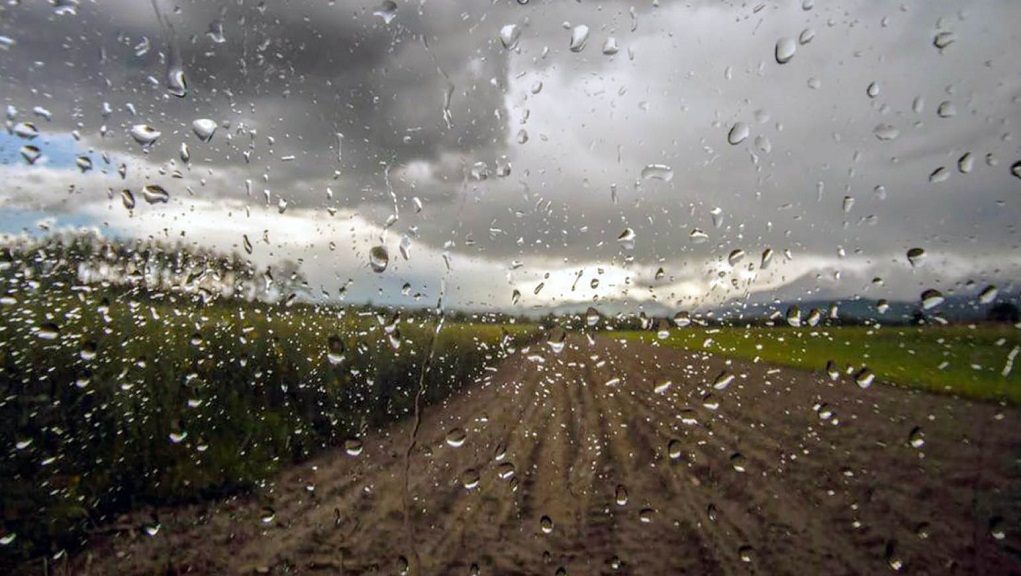 Βροχοπτώσεις και φόβος για ζημιές στα αμπέλια της Κρήτης