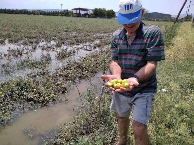 Ανυπολόγιστες ζημιές σε καλλιέργειες και υποδομές