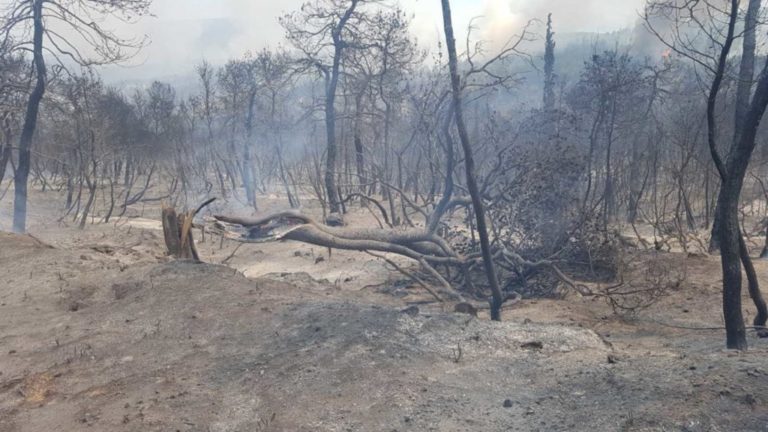 Πύρινη κόλαση στις Κεχριές – Εκκενώσεις χωριών