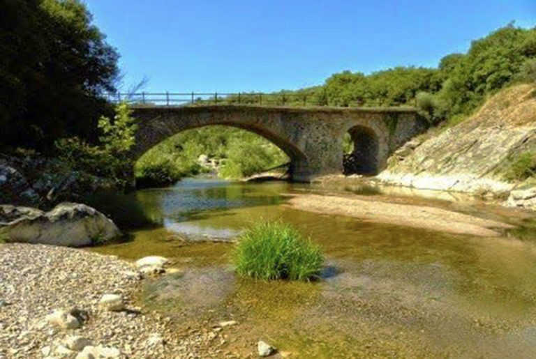 Καλαμάτα: Οι δράσεις του “Ευκλή” για τον Αύγουστο