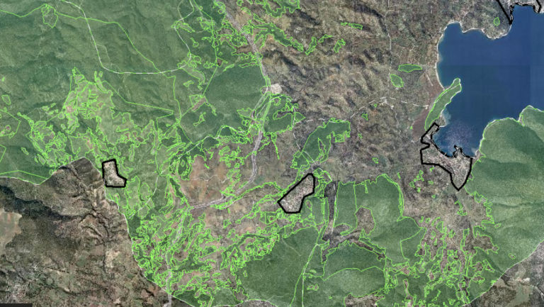 Προθεσμία 30 ημερών για την αναμόρφωση των δασικών χαρτών