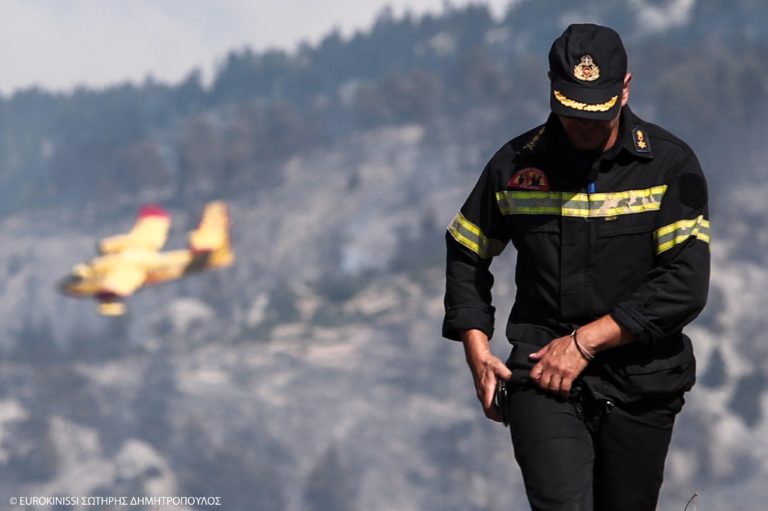 Φωτιά σε δασική έκταση στις Θίνες Βαρθολομιού Ηλείας