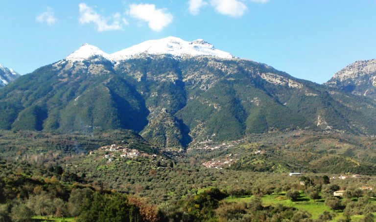 Γ. Αμυράς στο Πρώτο: Στον θεσμό των “Απάτητων Βουνών” σύντομα και άλλες 50 περιοχές (audio)