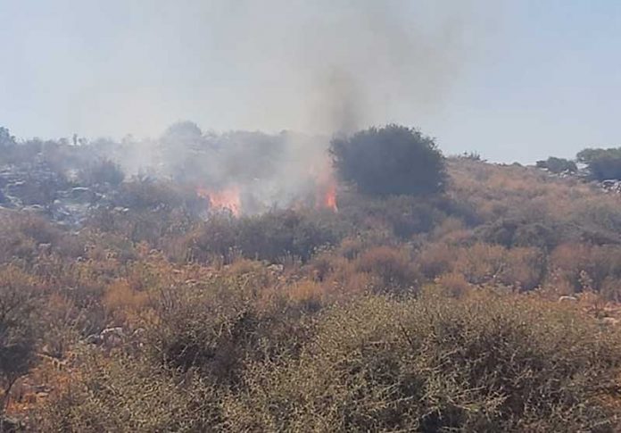 Λασίθι: 800 στρέμματα έκαψε η φωτιά στο Καρύδι