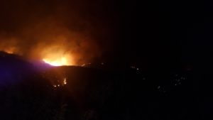 Σε ύφεση η φωτιά στην Ανατολική Μάνη – Ανυπολόγιστες καταστροφές στον δασικό πλούτο