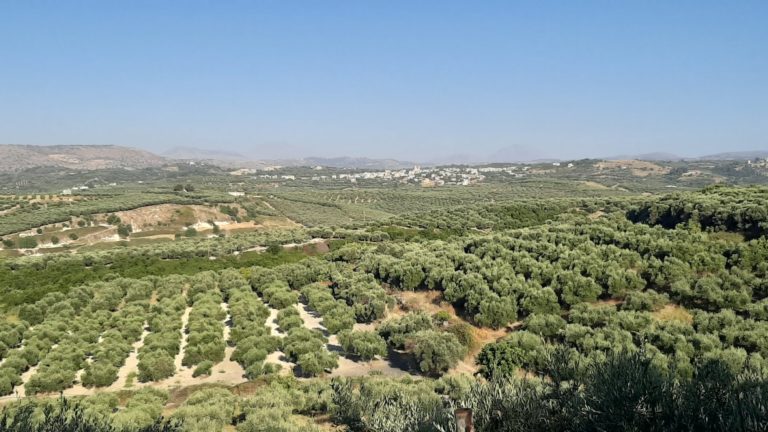 Χανιά: Δημιουργία ψηφιακού αρχείου στο Δήμο Αποκορώνου