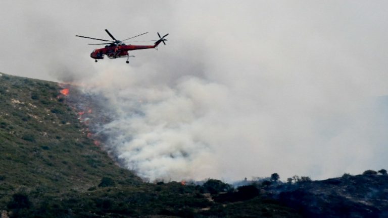 Σε ύφεση η πυρκαγιά στην Αγ. Πελαγία Κρήτης – Οριοθετήθηκε η φωτιά στο Διδυμότειχο Έβρου